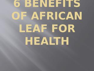 6 Benefits of African Leaf for Health(ppt).pptx