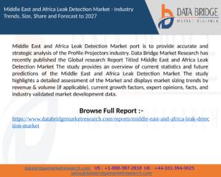 Middle East and Africa Leak Detection Market (1).pptx
