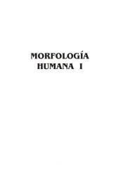 morfologia1.pdf