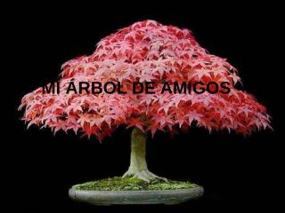 Arbol_de_amigos.pps