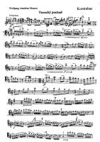 Mozart - Marcha turca para contrabaixo e piano (arr. Gajdos).pdf