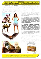 (2) mamiferos.pdf